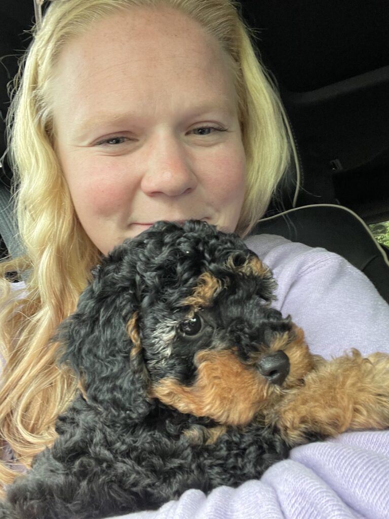 cavapoo puppies for sale PA