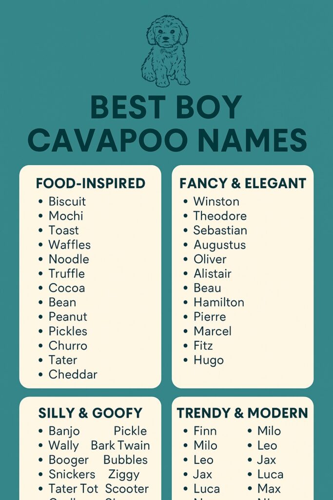 Best Boy Cavapoo Names