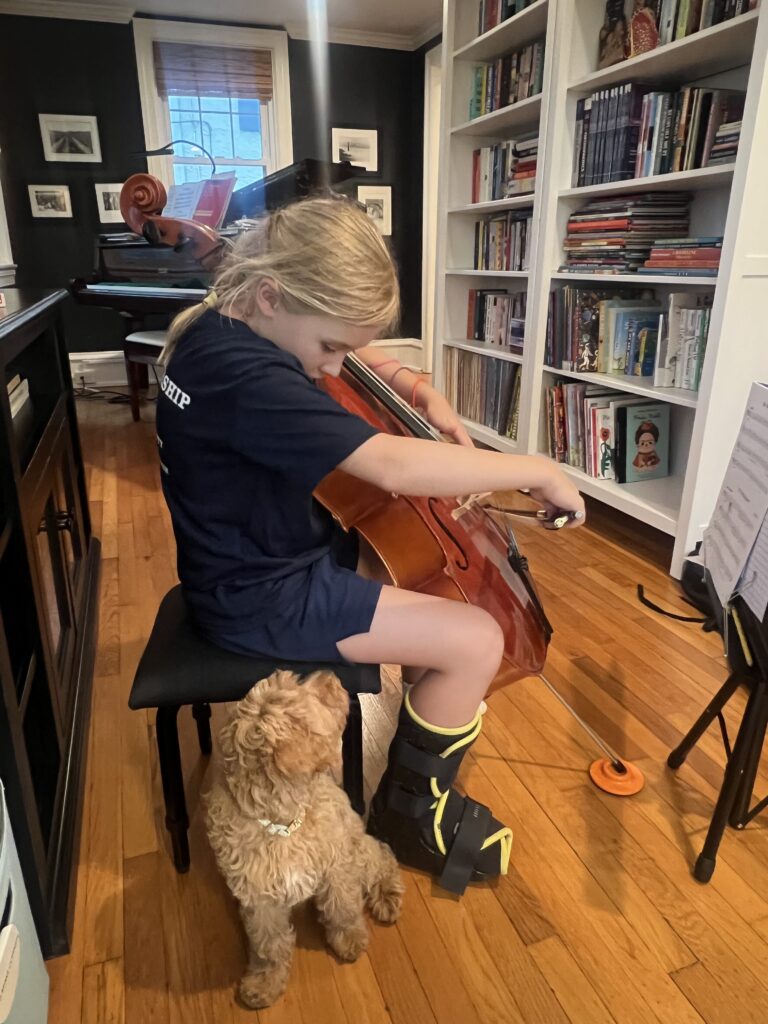 Families and cavapoos