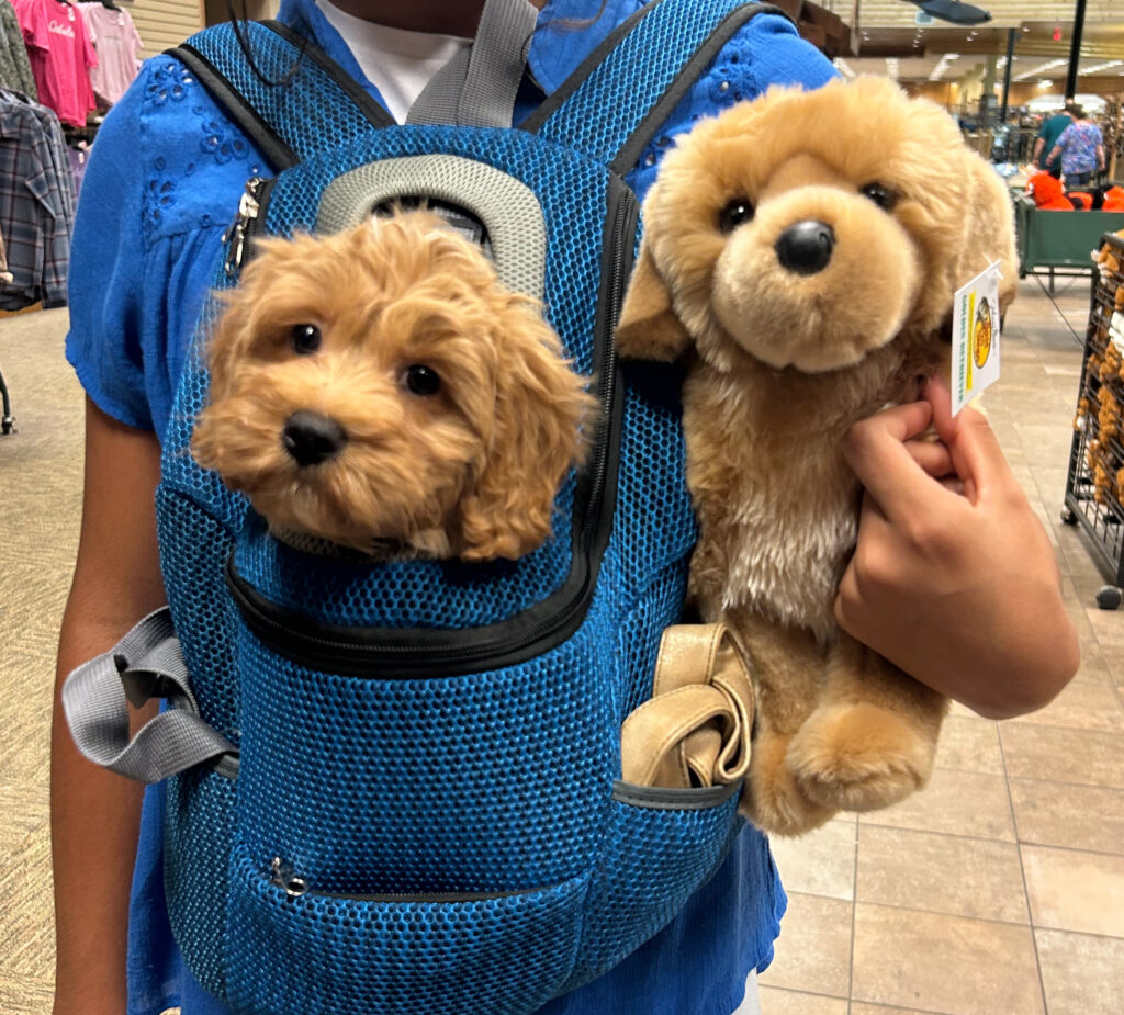 stuffed doodle dog