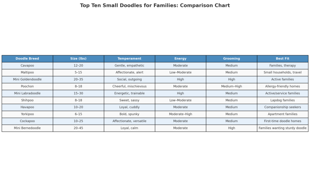 top ten small doodles for families 